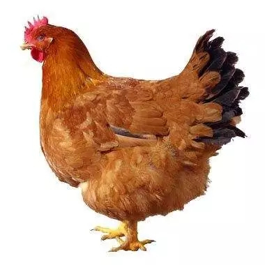 奇怪的知识增涨,稀奇古怪的美妆冷知识