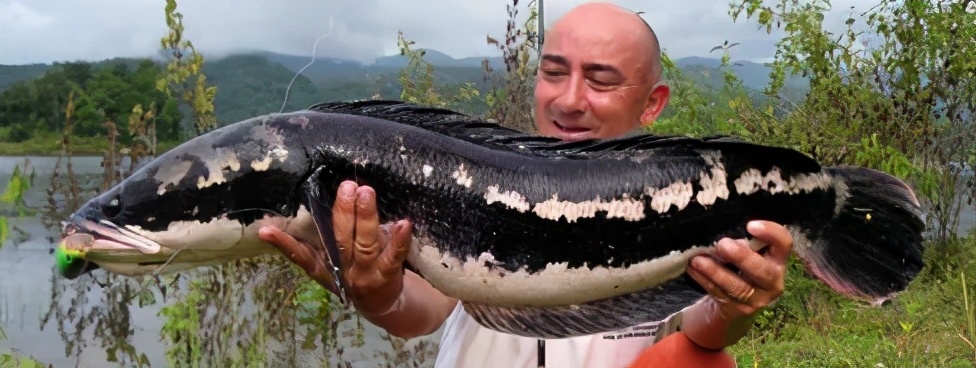 <html>
<head><title>502BadGateway</title></head>
<body>
<center><h1>502BadGateway</h1></center>
<hr><center>nginx</center>
</body>
</html>
<!--apaddingtodisableMSIEandChromefriendlyerrorpage-->
<!--apaddingtodisableMSIEandChromefriendlyerrorpage-->
<!--apaddingtodisableMSIEandChromefriendlyerrorpage-->
<!--apaddingtodisableMSIEandChromefriendlyerrorpage-->
<!--apaddingtodisableMSIEandChromefriendlyerrorpage-->
<!--apaddingtodisableMSIEandChromefriendlyerrorpage-->
