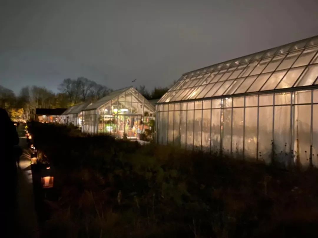 世界第一餐厅NOMA:“有什么吃什么”的能耐和“改变世界”的勇气