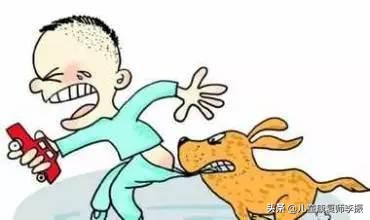 婴儿被宠物抓伤怎么处理,被宠物抓伤咬伤后怎么处理