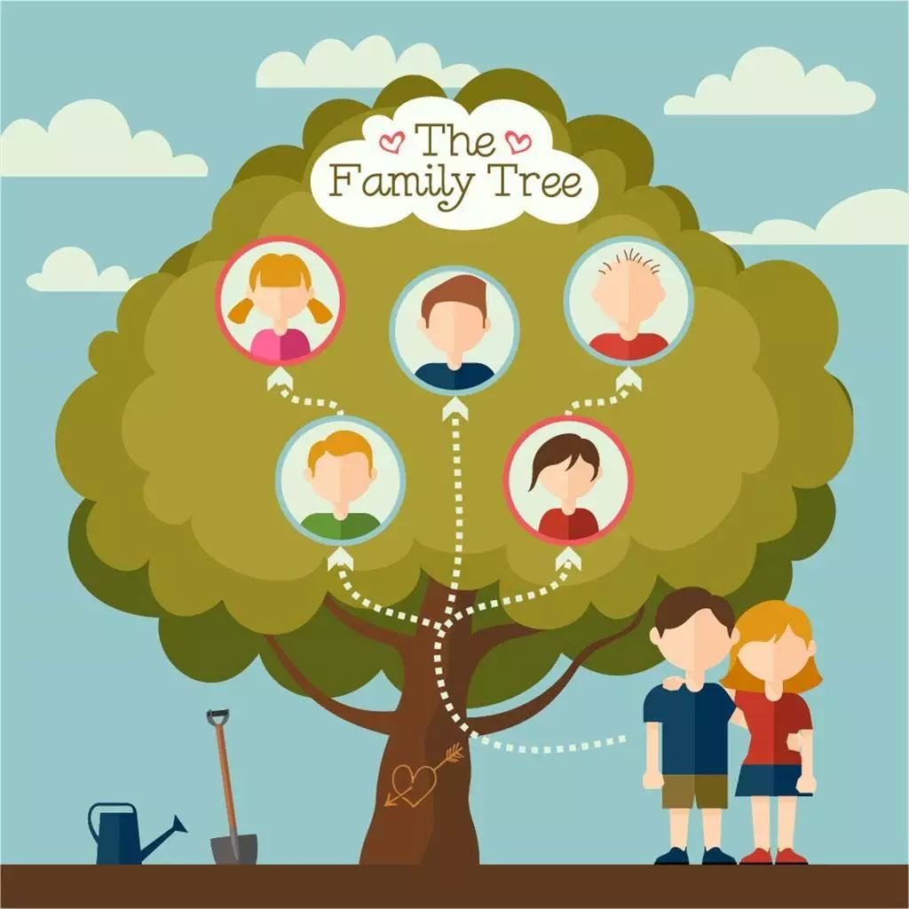 画一幅五代家谱图,画一张自己家的家谱图