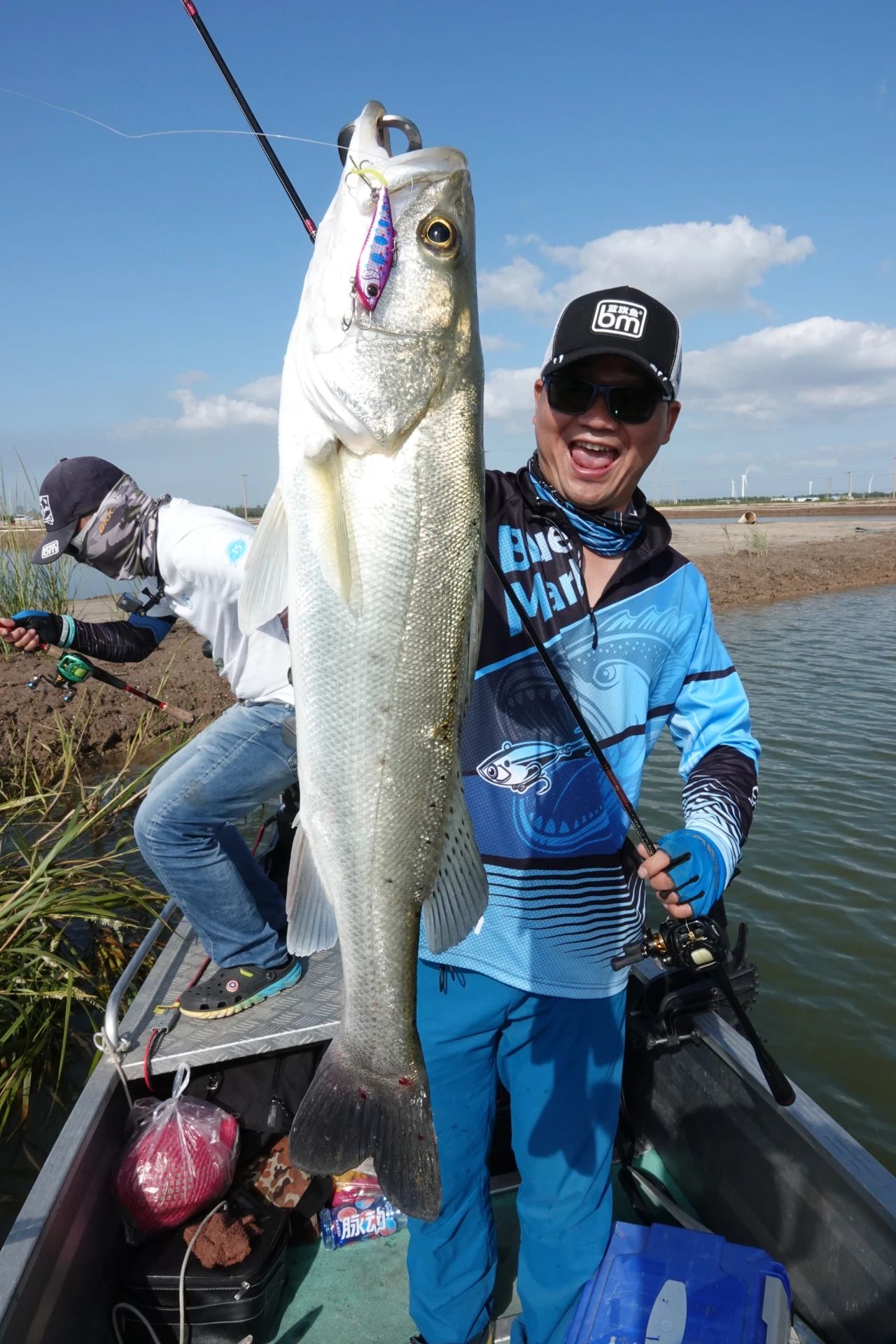 蓝旗鱼软尾路亚饵,蓝旗鱼路亚视频