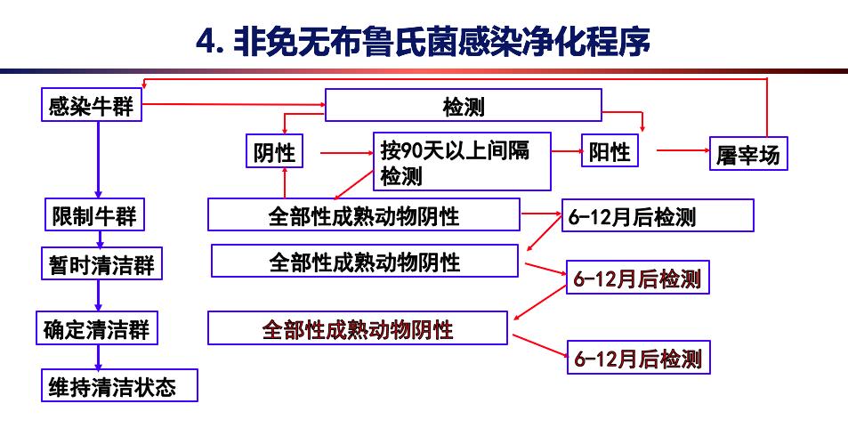 牛场工作怎么预防布病,牛场疾病防治方法