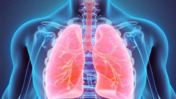 干细胞衰老,衰老造血干细胞