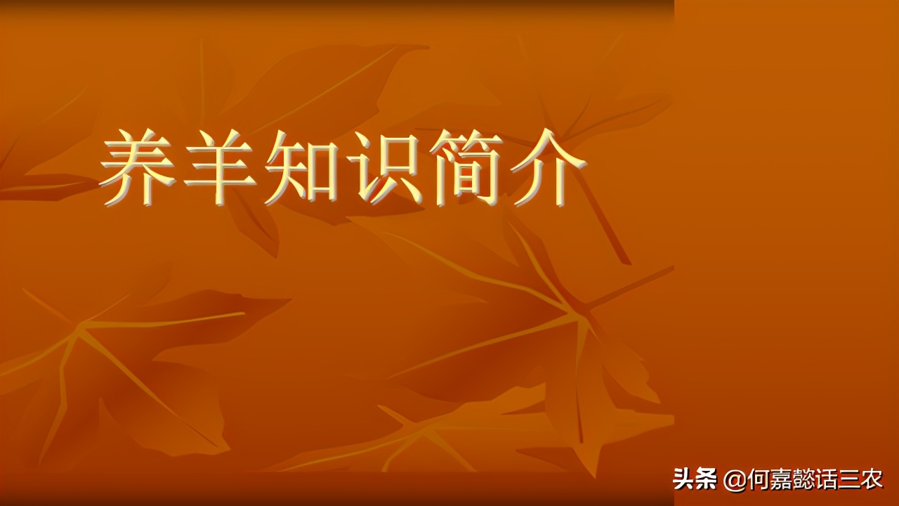 何嘉懿讲兽医养殖技术,何嘉懿的养殖方法