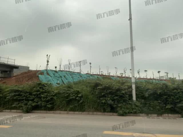 深圳光明究竟有多火？走了一圈才发现，比你想得还夸张