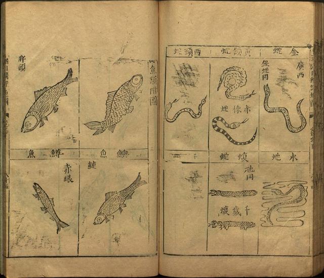 李时珍与本草纲目ppt课件,神农本草经正版李时珍书籍