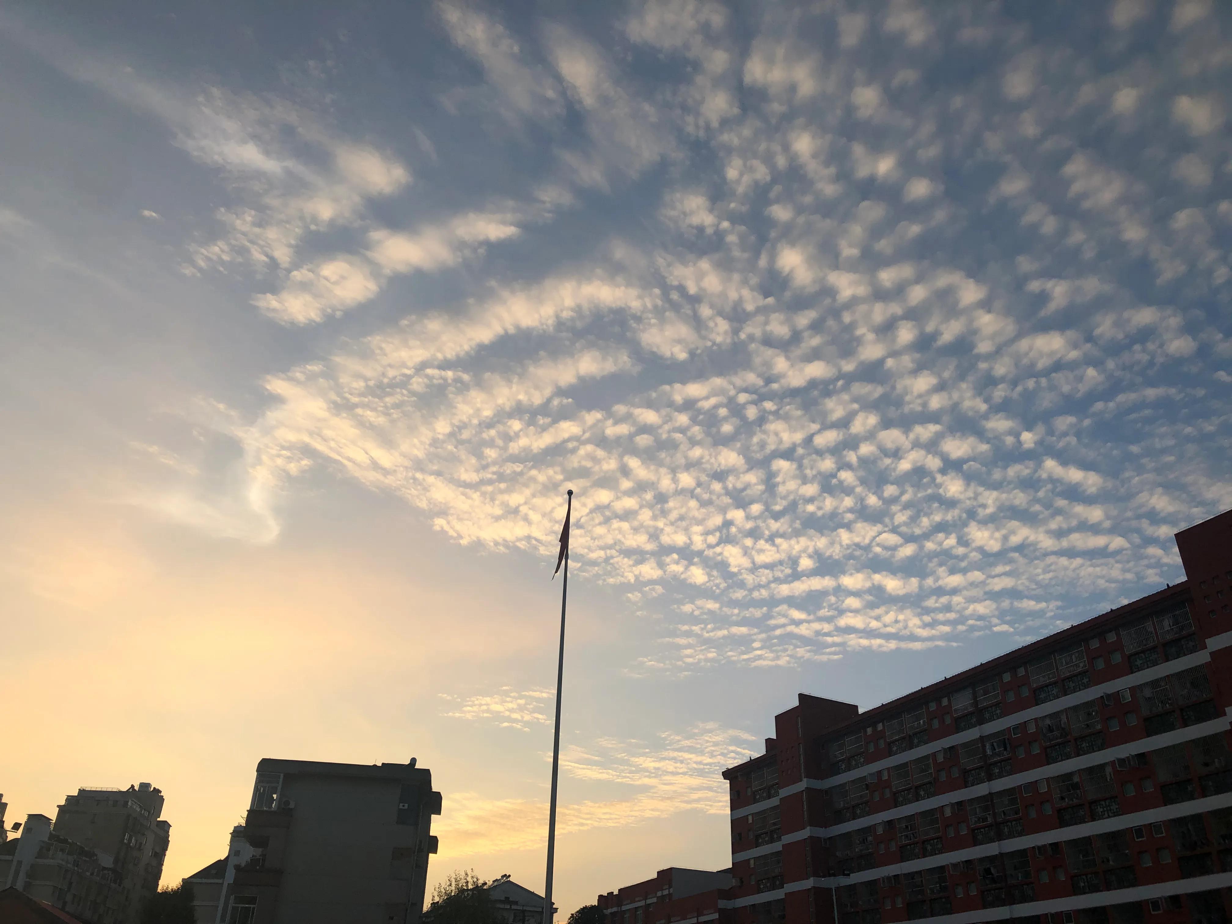 互相借鉴教学相长作文1000字,教学相长作文