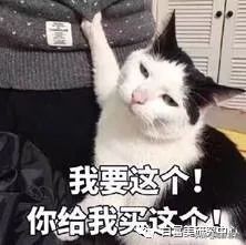 闺蜜周扬青态势,周扬青澄清闺蜜