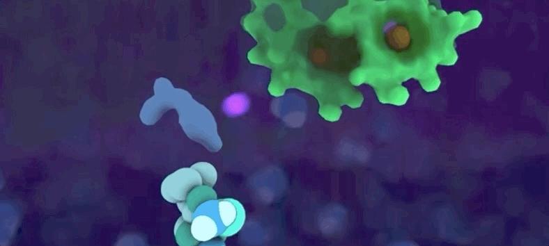 光合作用是什么具体过程,光合作用儿童科普