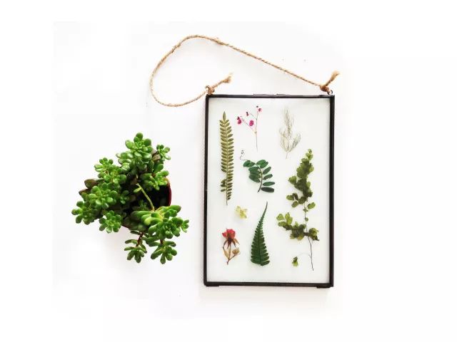 她31岁放弃北漂，回归自然，用枯枝败叶，打造了一个梦幻森林