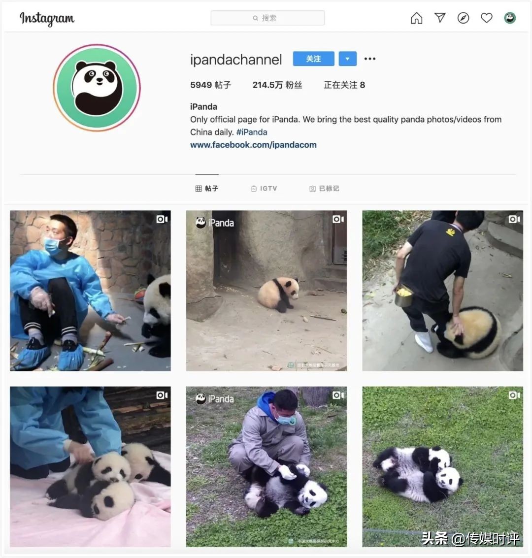 鐔婄尗棰戦亾娴峰浼犳挱,鐔婄尗绮惧噯鍙戝姏娴峰