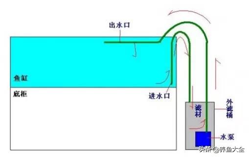 鱼缸各种过滤方式效果排名,细谈各种鱼缸过滤方法