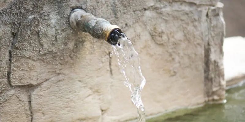 植物水浇多了怎么办该如何挽救,长期给植物浇自来水