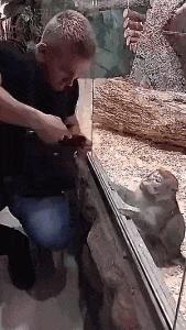 鎼炵瑧gif娈靛瓙濡瑰瓙浣犲お鐨簡,鎼炵瑧gif娈靛瓙濡瑰瓙鏈夌偣澶窐姘斾簡