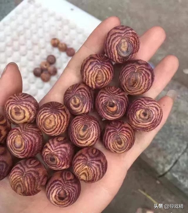 男子山上砍拐杖高价卖,男子花千元买根木头