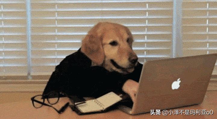 消毒柜选购攻略和品牌推荐,消毒柜选牌子怎么选