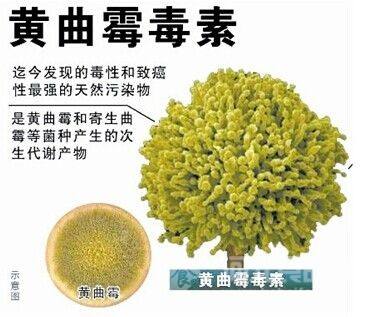 你对脚气、皮癣的致病菌了解多少？