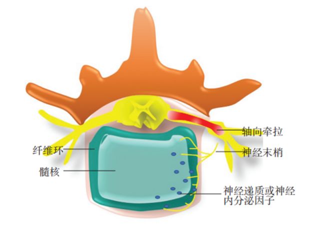 史建刚主治医师,史建刚医生怎么样