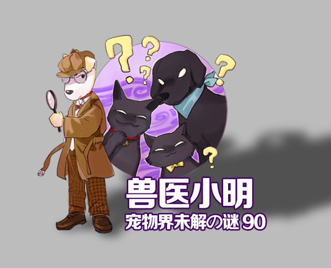 软牛奶小猫能喝吗,辟谣婴幼儿不能碰哪些食物