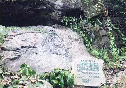 张家界慈利新项目,张家界慈利江垭的新项目