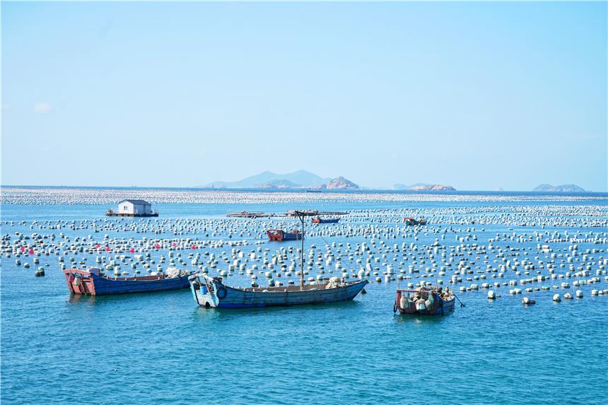 嵊泗旅游美食攻略,嵊泗攻略3天2夜美食推荐