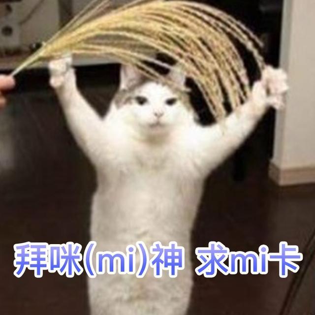 抖音美好音符节怎么打开,抖音发布美好音符年活动