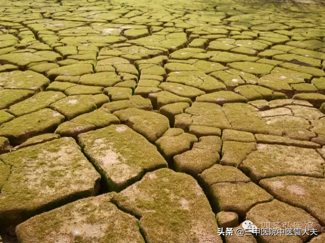 迈入中医之门（配视频）第17课：“瘦弱”的中医机理与科学增肥