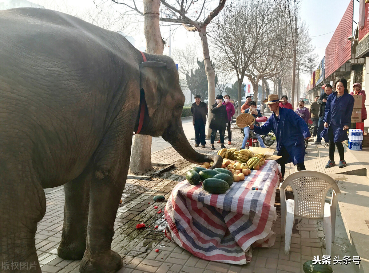 自媒体赚钱必背知识点,自媒体赚钱必备知识点
