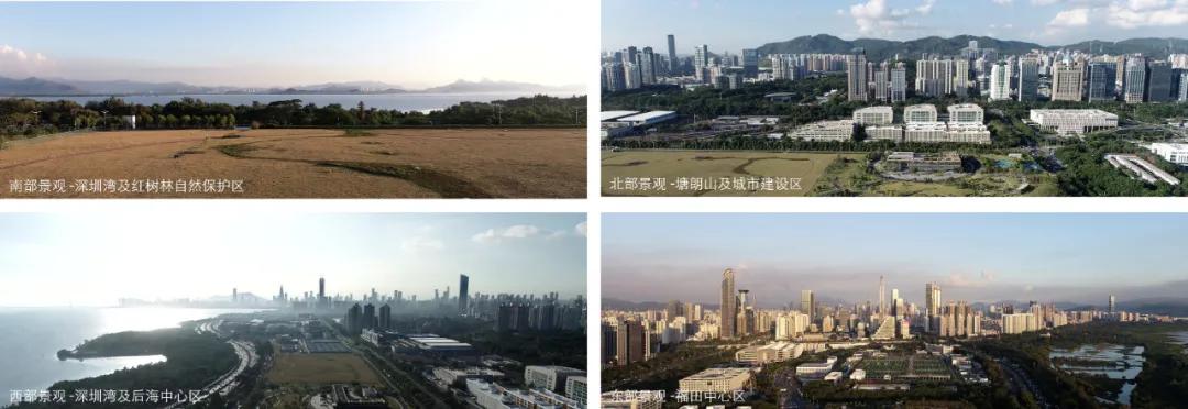 绾㈡爲鏋楁箍鍦板崥鐗╅,娣卞湷绾㈡爲鏋楁箍鍦板崥鐗╅浣嶇疆