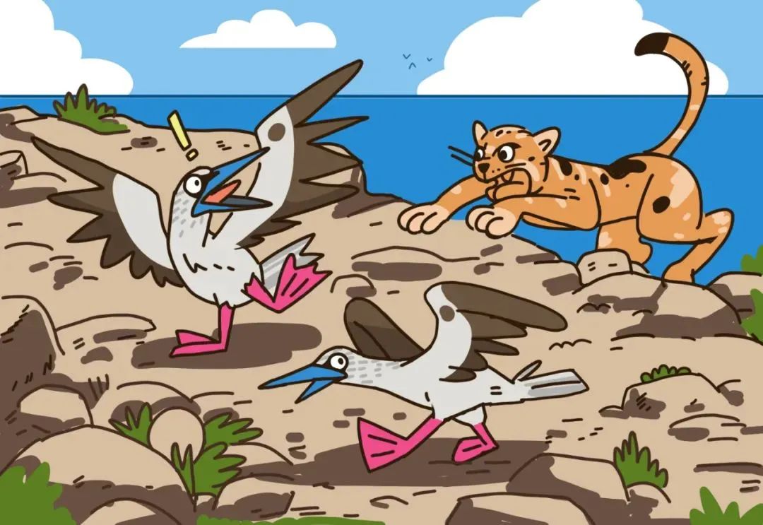 观往知来的含义,一封寄到西沙的信