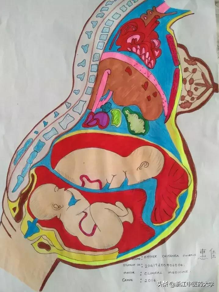 Amazing怎么写,wonderful怎么画