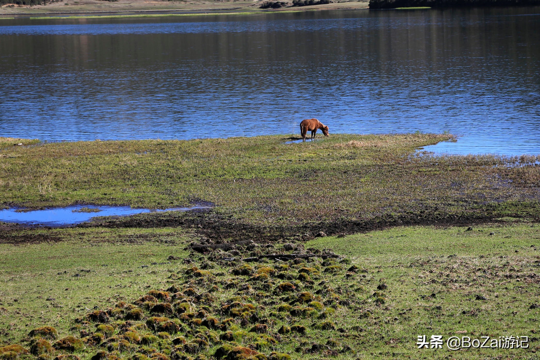云南旅游攻略最佳线路洱海,到云南旅游必去景点推荐