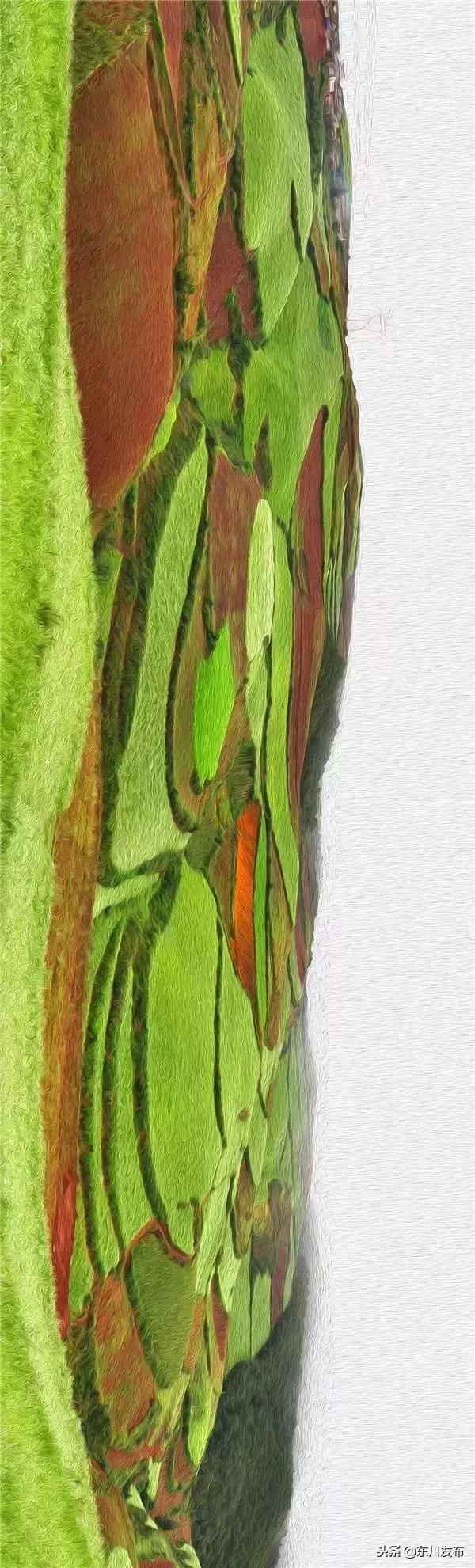 云南东川上帝打翻的调色板,东川红土地主要景点