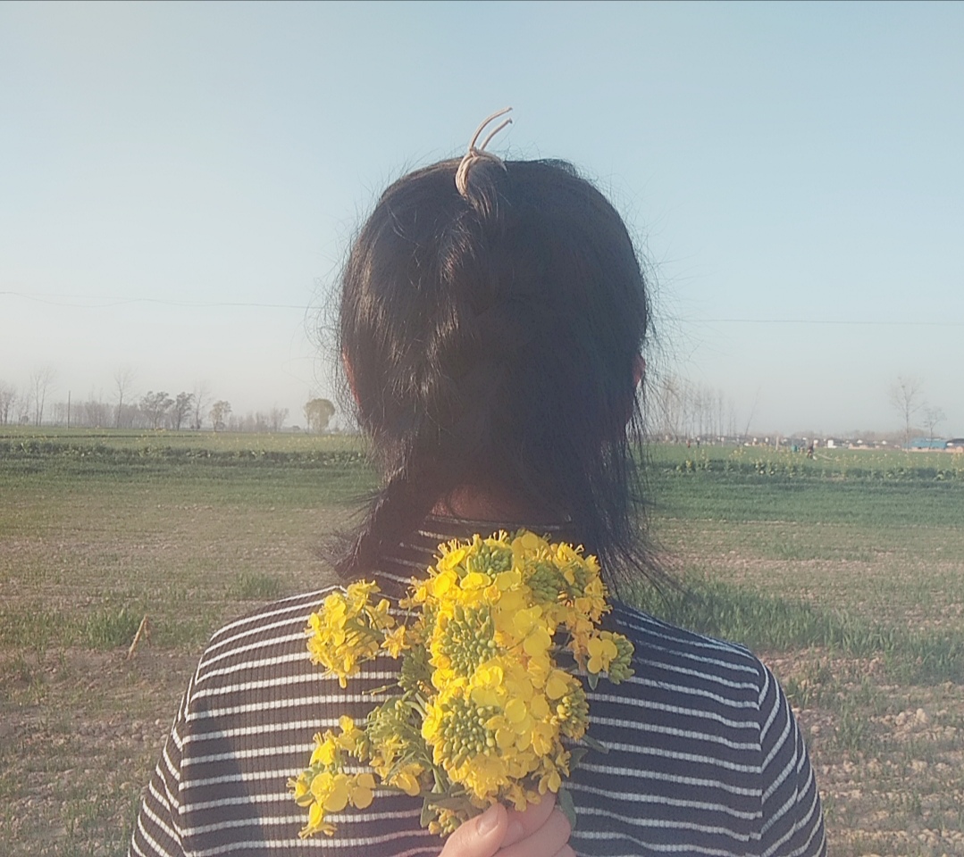 起风了钢琴简谱,美文摘抄800字起风了