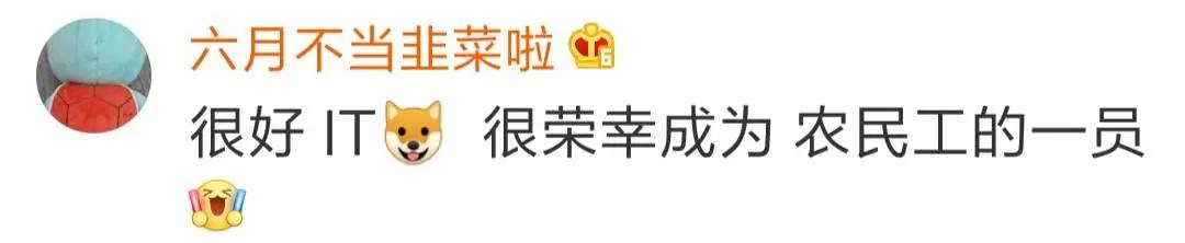 程序员新生代农民工,程序员被定义为新时代的农民工