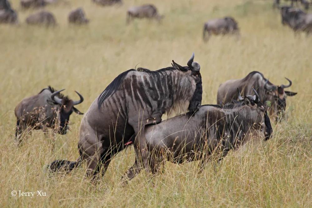 情人节，就该和爱的人*爱做**做的事
