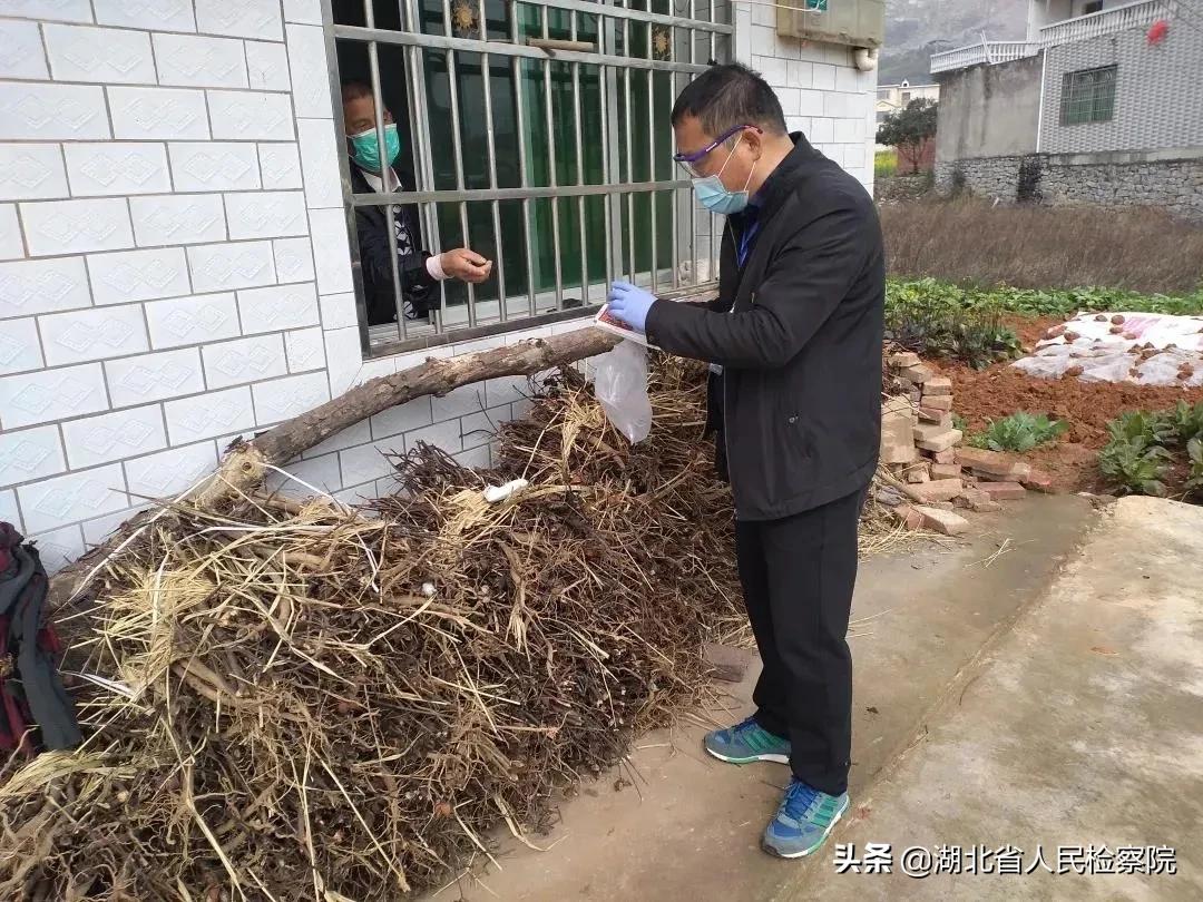 一封纸短情长的回信,一封家书纸短情长