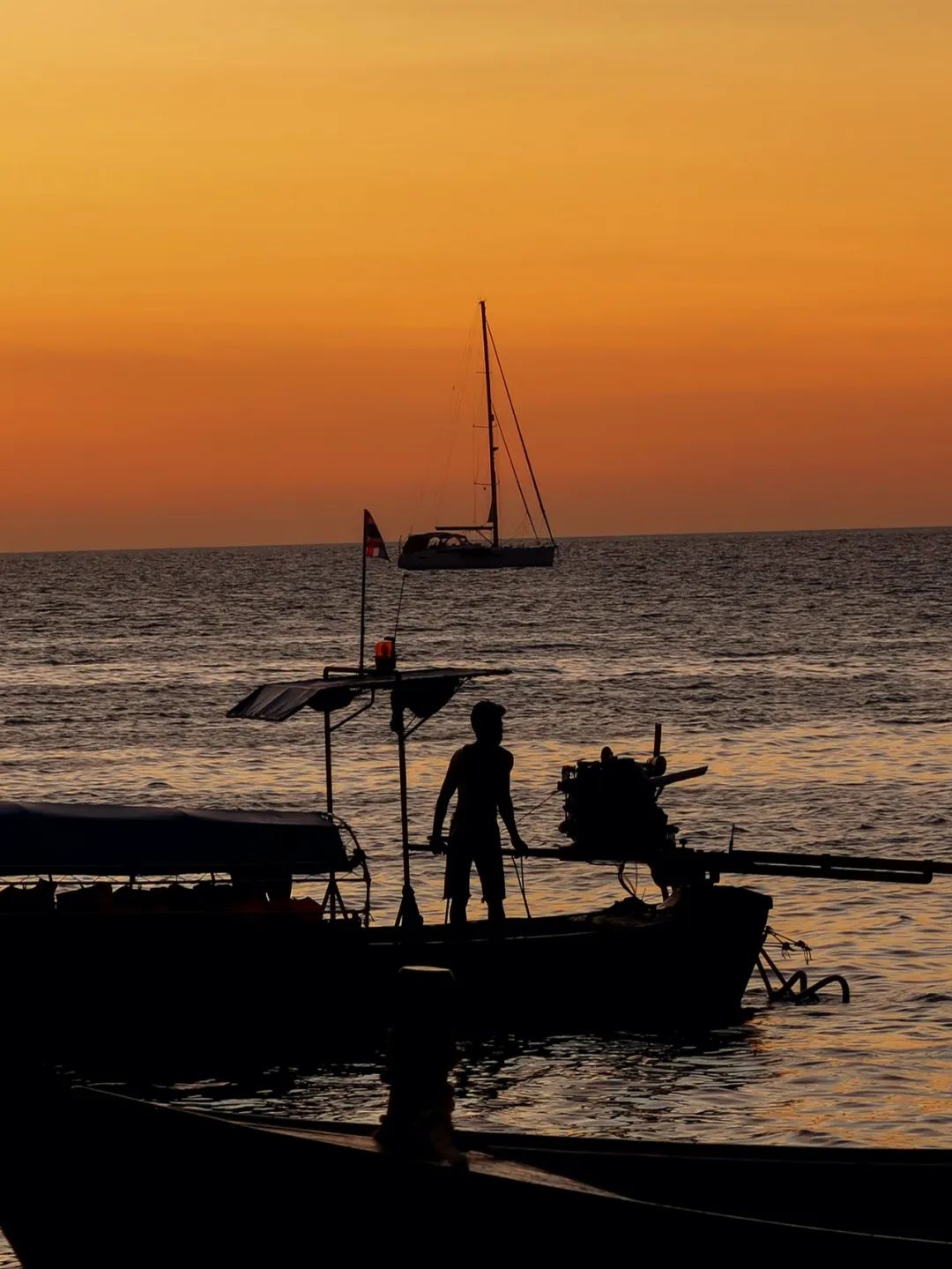 恋恋丽贝岛，人狗情未了|KohLipe