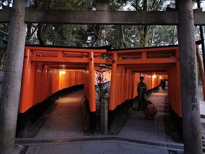 2020鏃ユ湰澶ч槳,澶ч槳浜兘濂堣壇鍏ぉ瀹夋帓