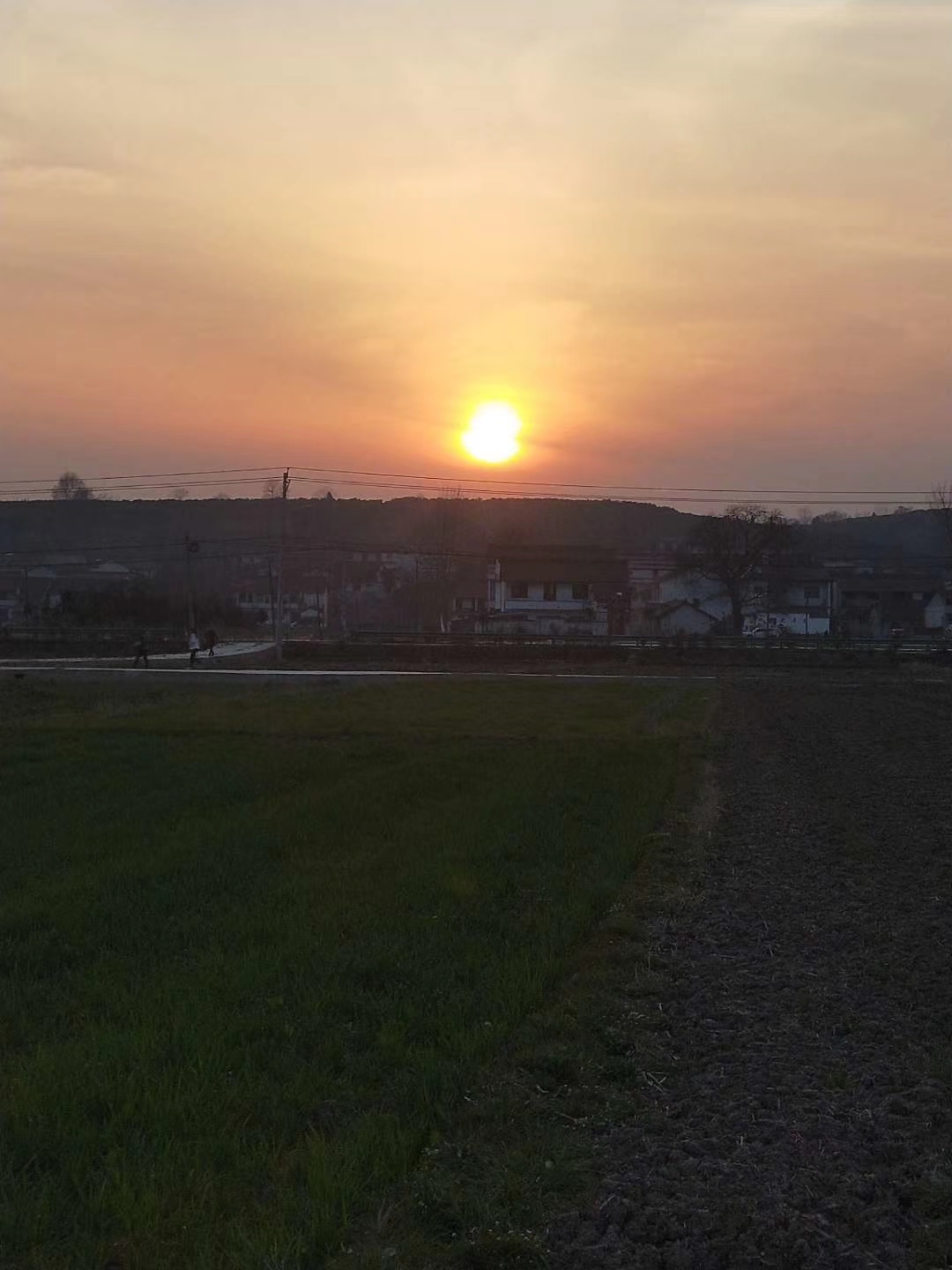 北漂回老家看父母的真实感受,北漂回家感慨