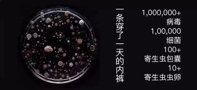 女人的内裤到底有多脏,女生的裤子脏了怎么办