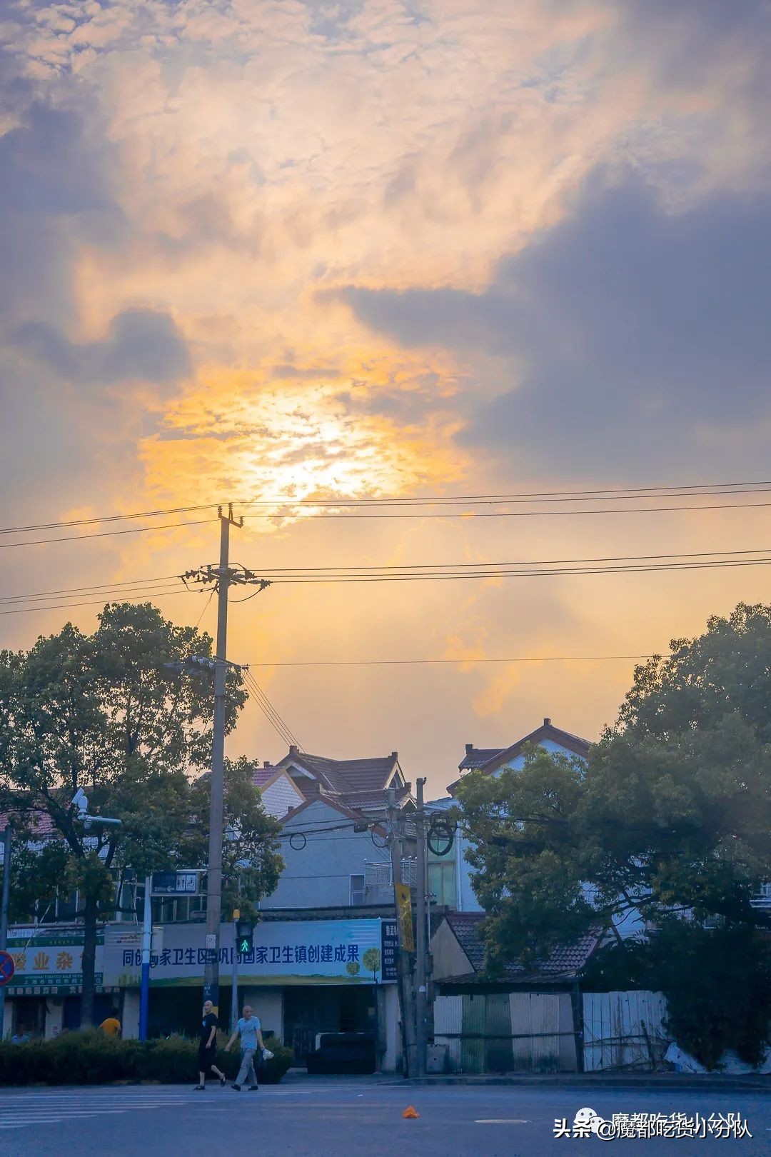 崇明岛地理位置独特,崇明岛过度开发