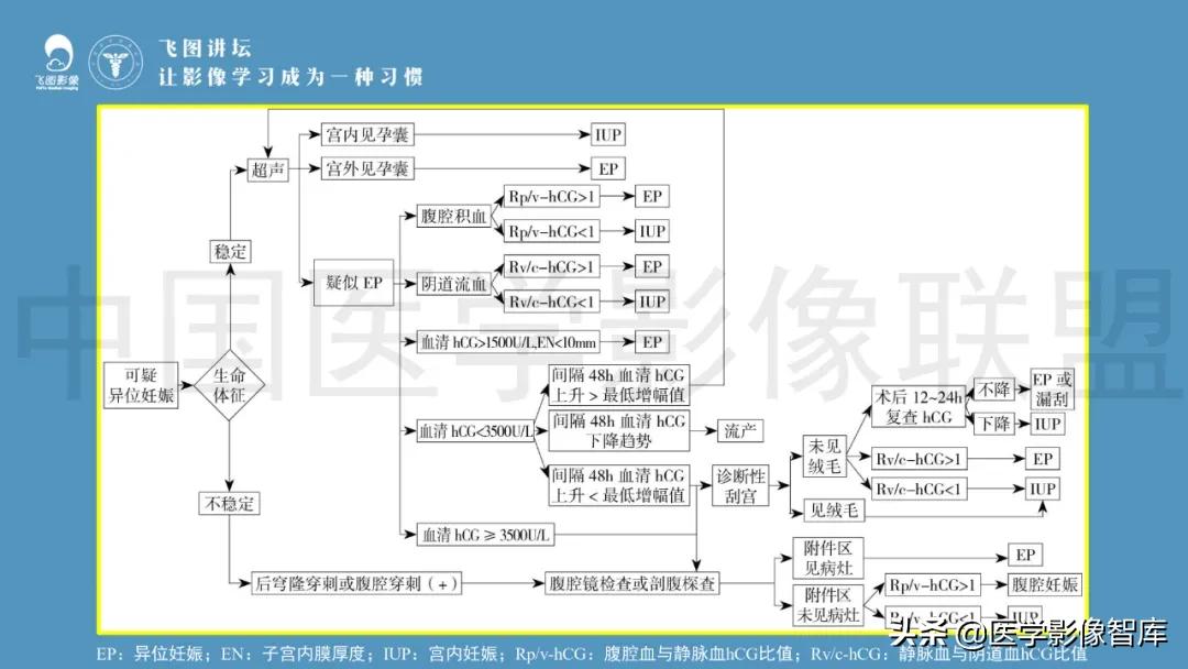 子宫解剖结构输卵管和卵巢位置,子宫附件ct影像学正常解剖表现