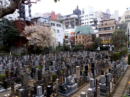 日本也有清明节吗,日本有复活节吗