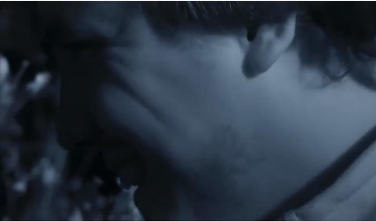 永不服输的蜜獾，曾经有一个保护区饲养了两只，后来怎么样了？