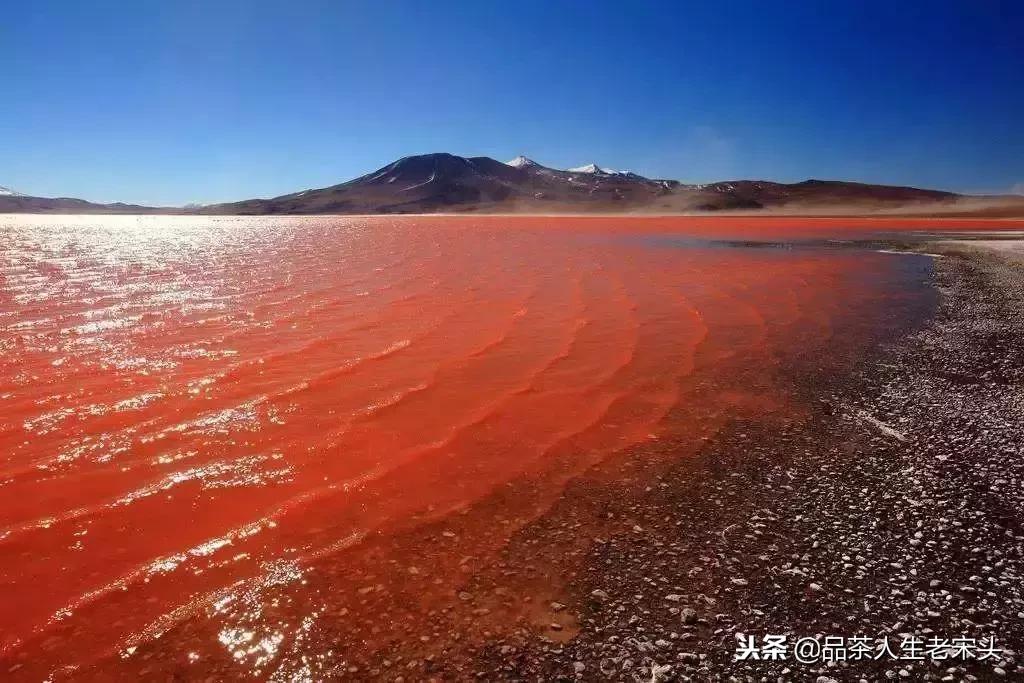 最新世界十大“怪”，最后一个太绝了！