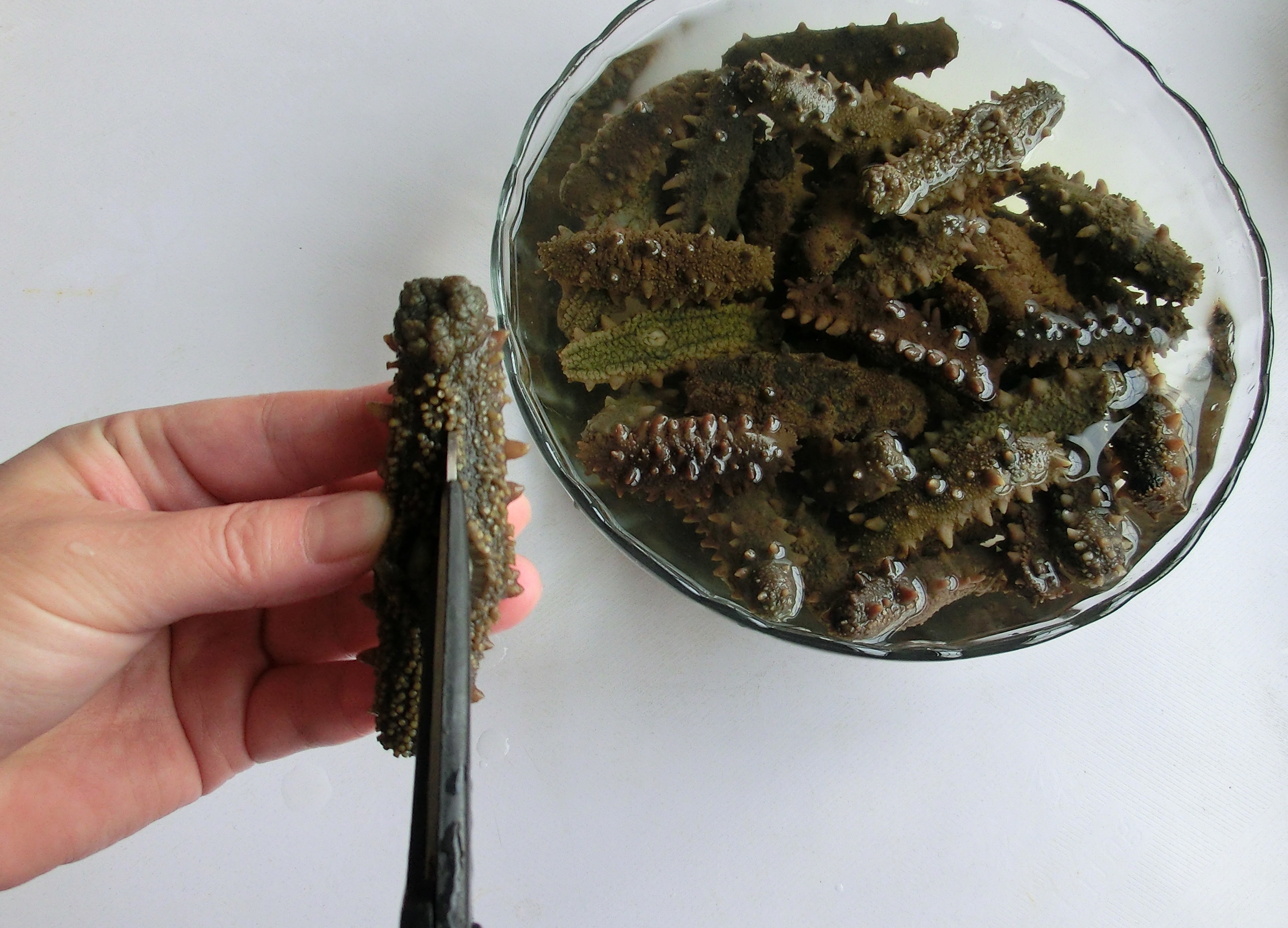 海参怎这么贵呢,海参的正确泡发方法和做法