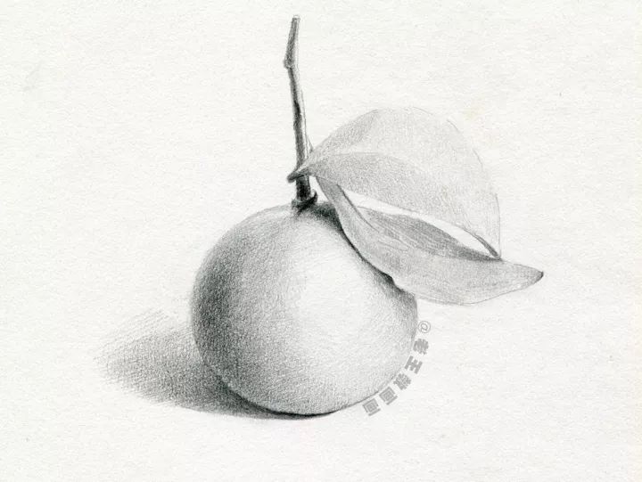 会画画的都会画素描吗,有的人说我不会画素描