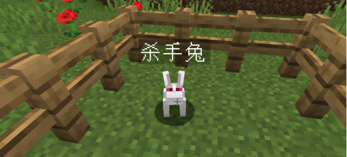 我的世界杀手兔和猫,我的世界杀手兔